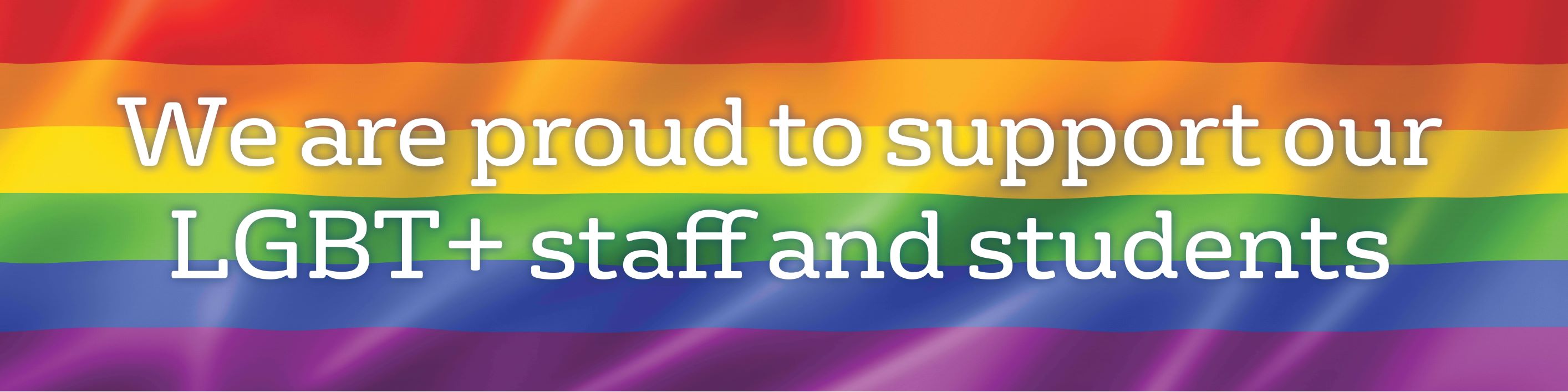A rainbow flag background with superimposed text in white reading 